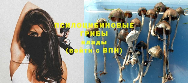 прущая мука Нефтегорск