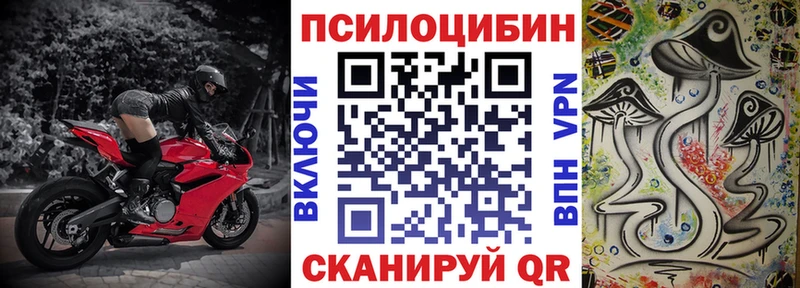 Купить где  Тогучин  Галлюциногенные грибы Cubensis 